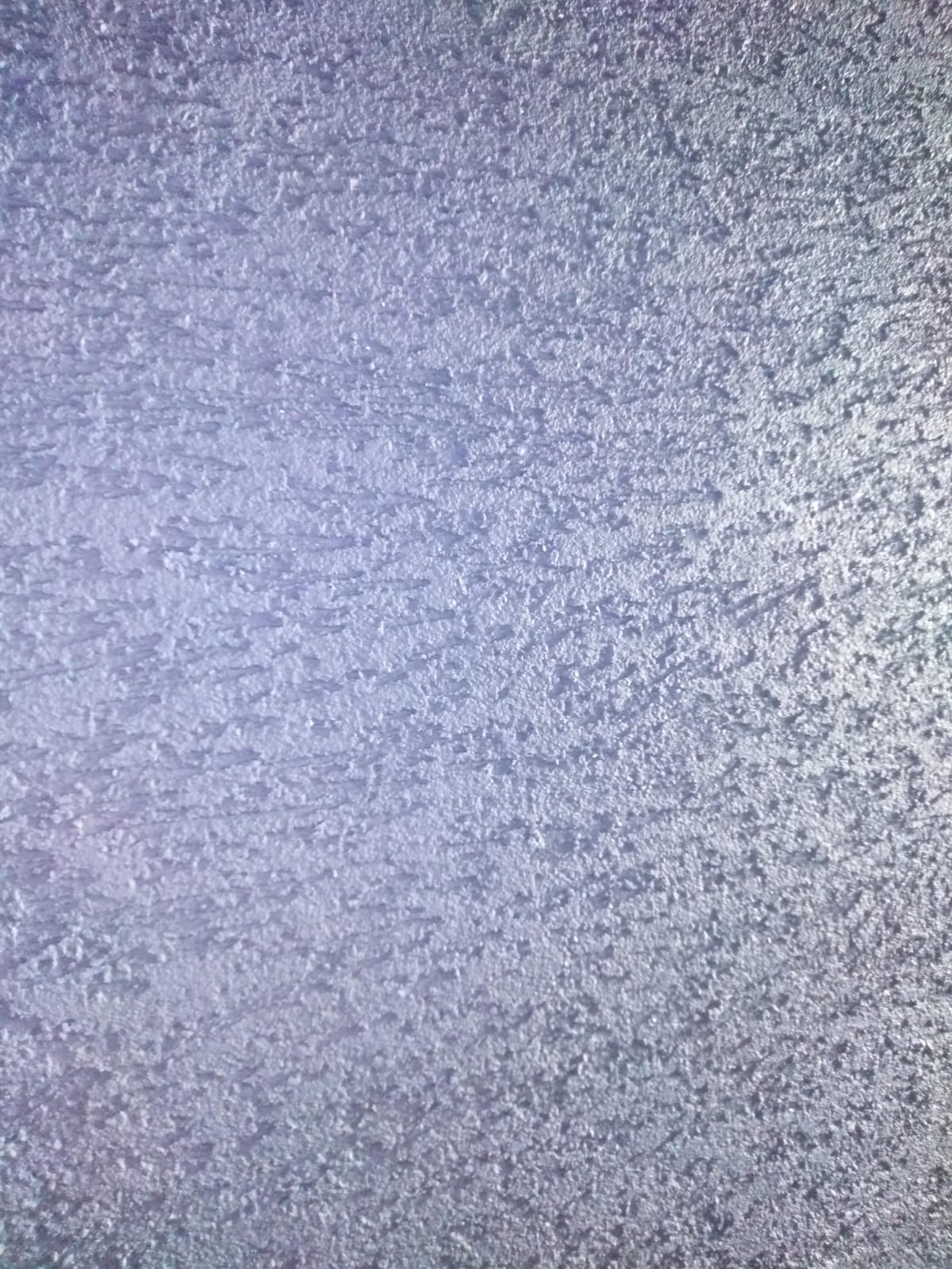 Bot 3 Image